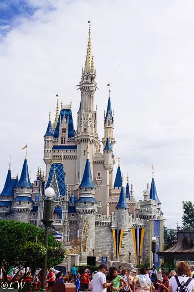 I've spent the last 6 months planning for our trip to Disney World! I can't wait to see the castle again! 