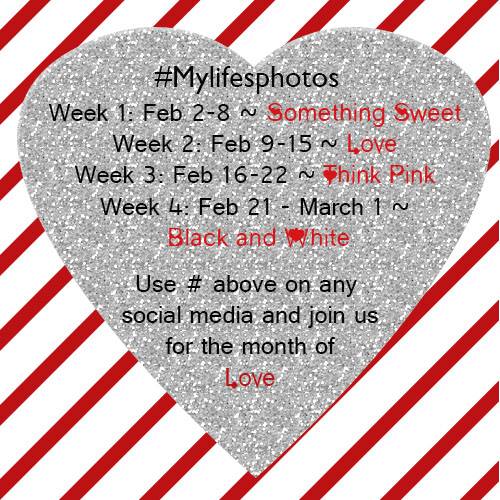 mylifesphotos feb