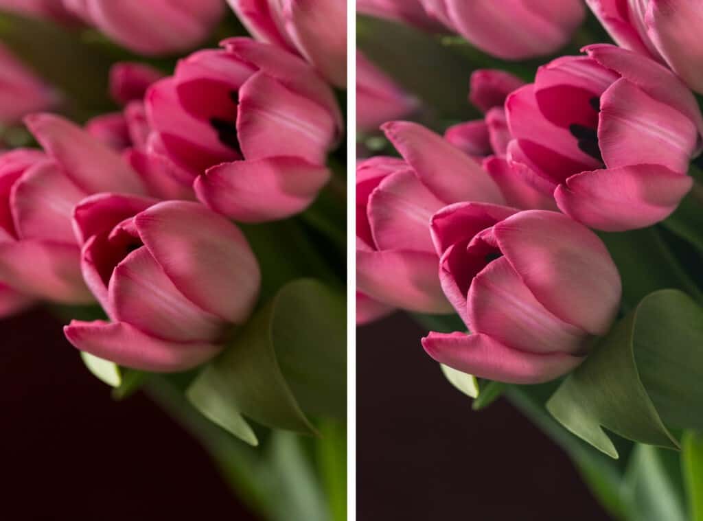 depth of field photography tips