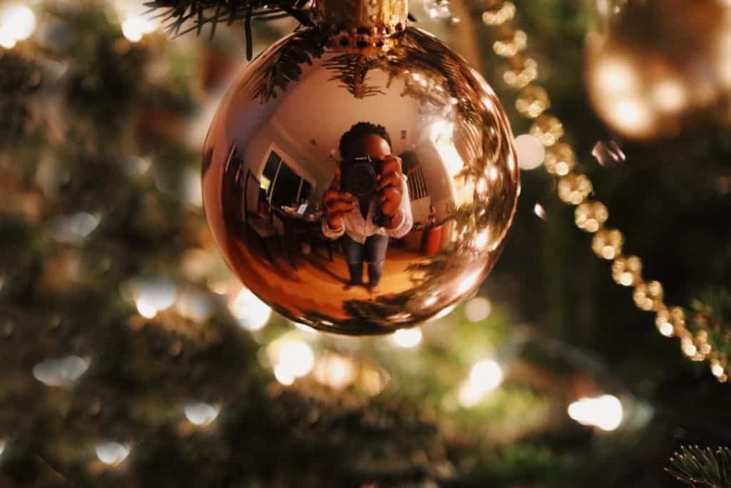 christmas tree photography