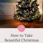 how to take christmas tree photos