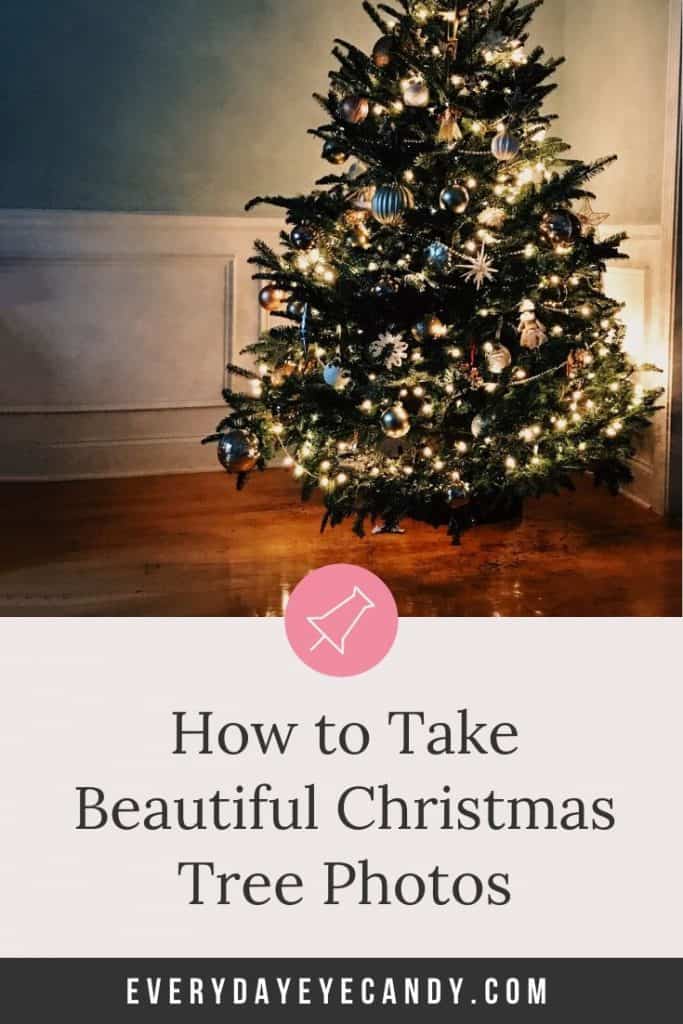 how to take christmas tree photos