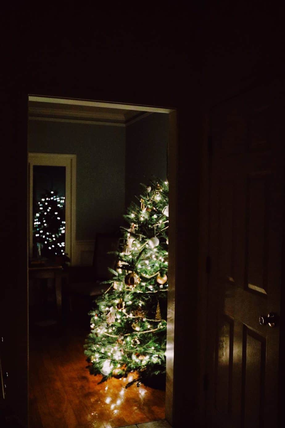 How to Take Beautiful Christmas Tree Photos