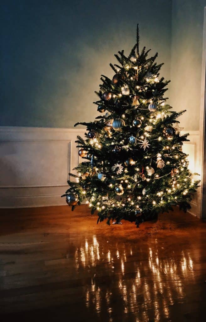 christmas tree photography