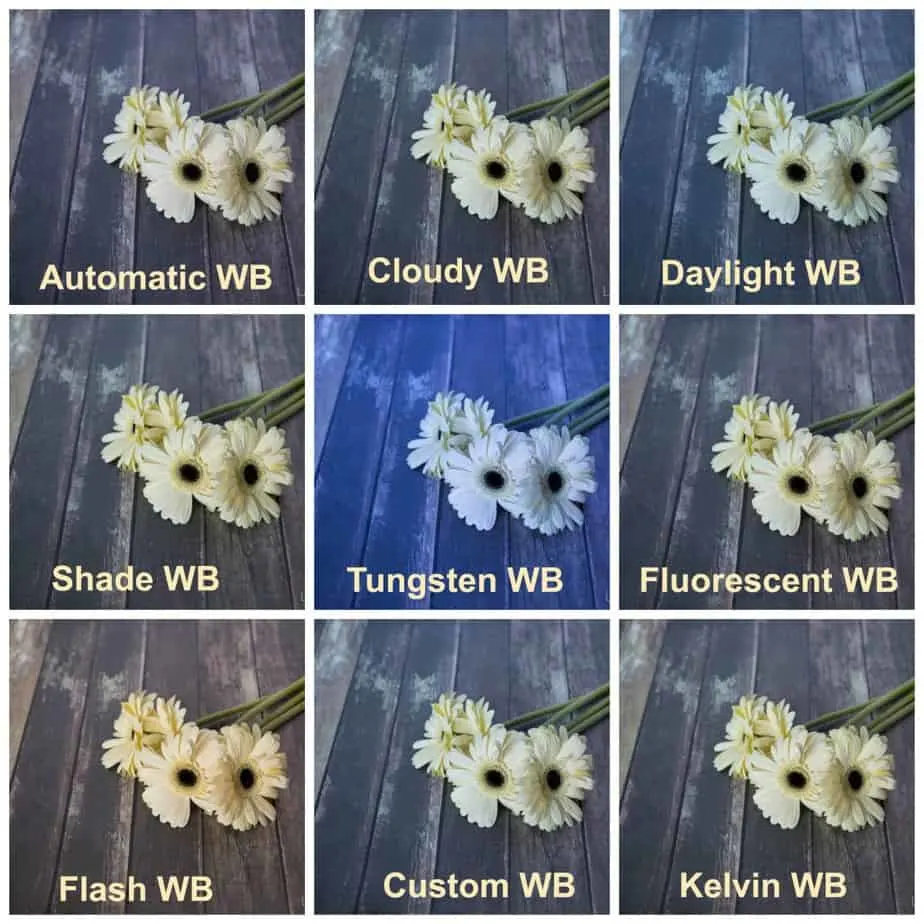 examples of white balance