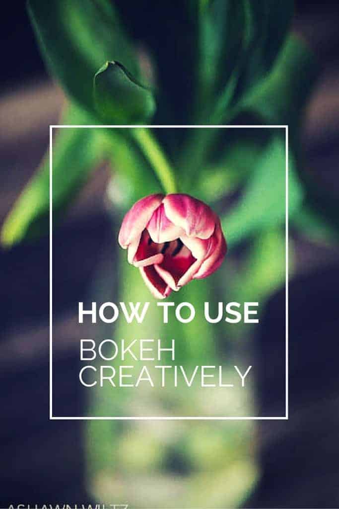 Want those creamy backgrounds in your photos? Here are 3 tips to use bokeh creatively in your photography 