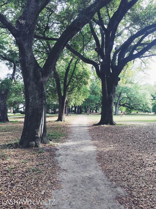 new orleans park