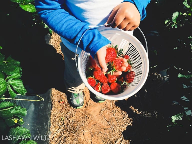 saturdays in iphoneography