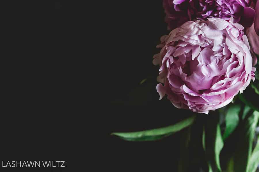 our project 52 week 26 peonies