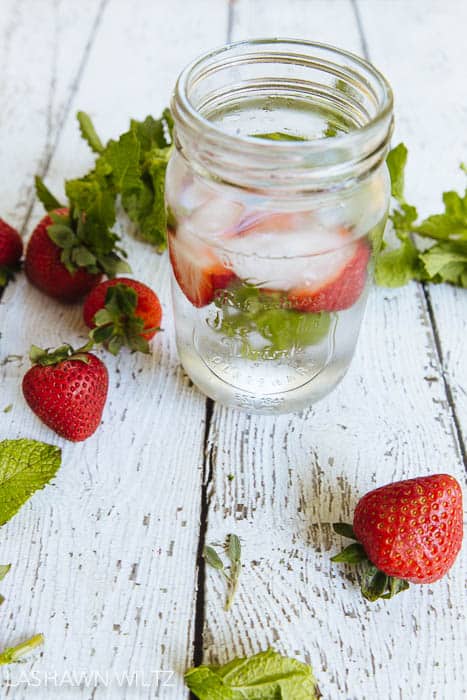Strawberry and mint fruit infused water recipes