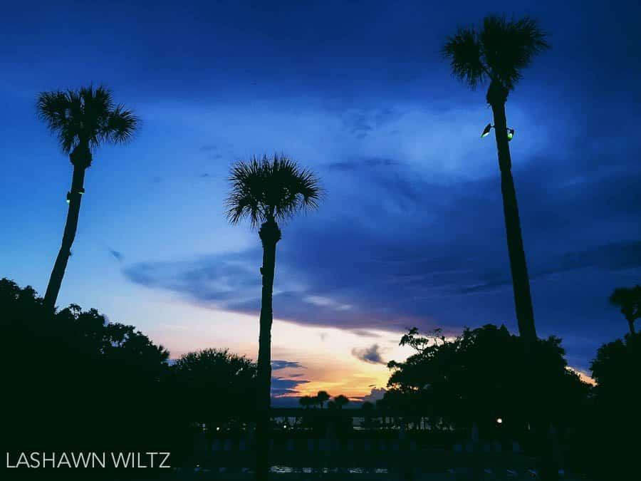 Saturdays an iPhoneography Project at Jekyll Island