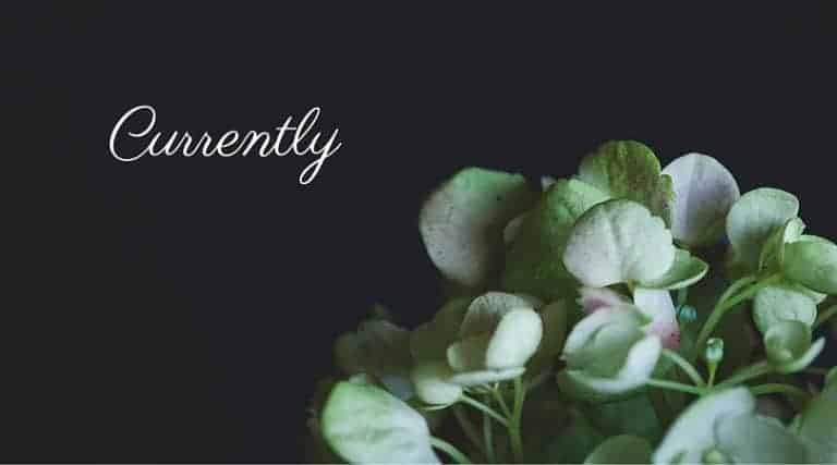 t's time for the monthly edition of currently! What's currently going on in your life?