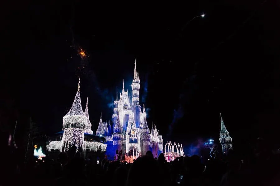 cinderella's palace at night. 