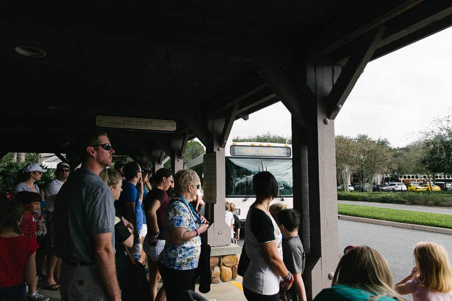 Early morning wait to catch the shuttle to disney magic kingdom