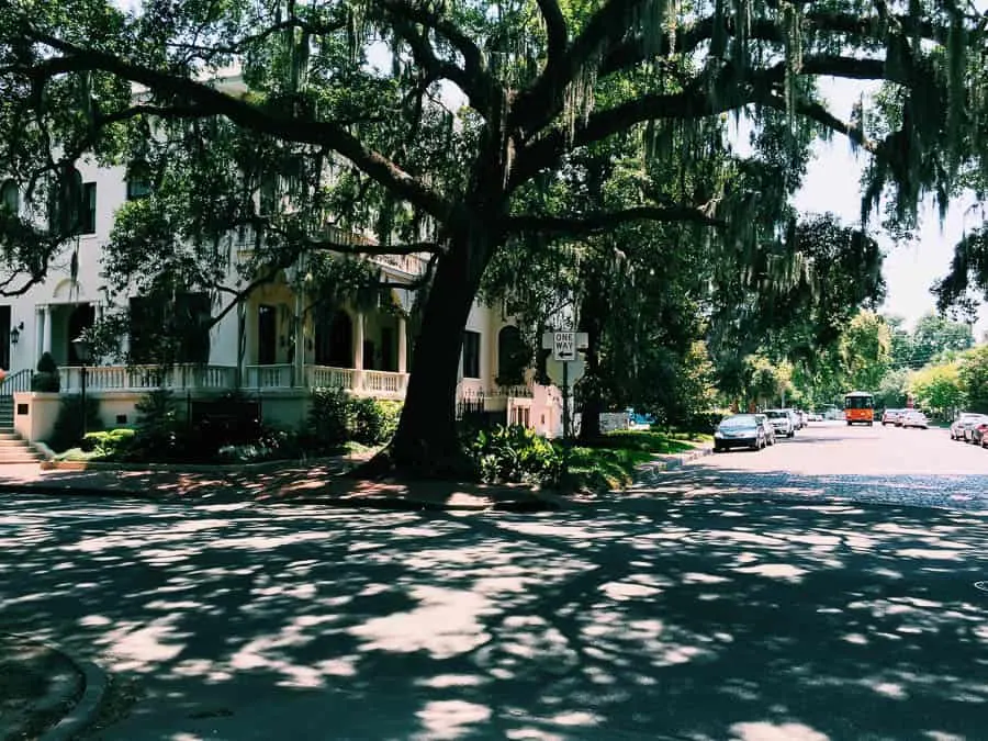 Beautiful houses in Savannah, georgia