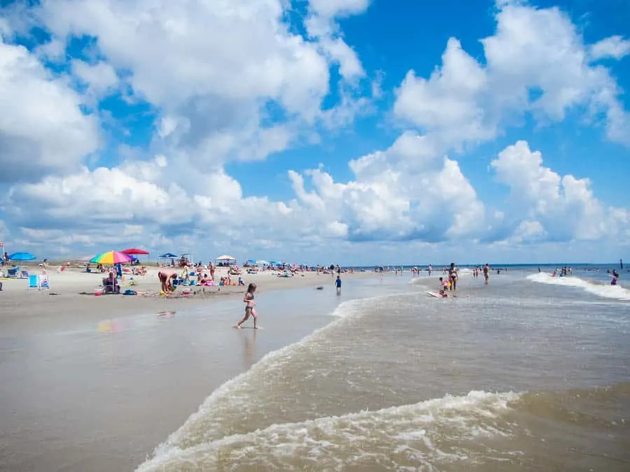 are dogs allowed on tybee island beach