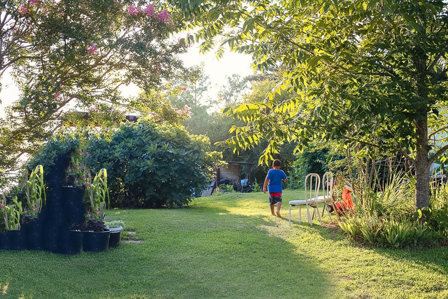 Pookah taking a walk in Grandmama's backyard.