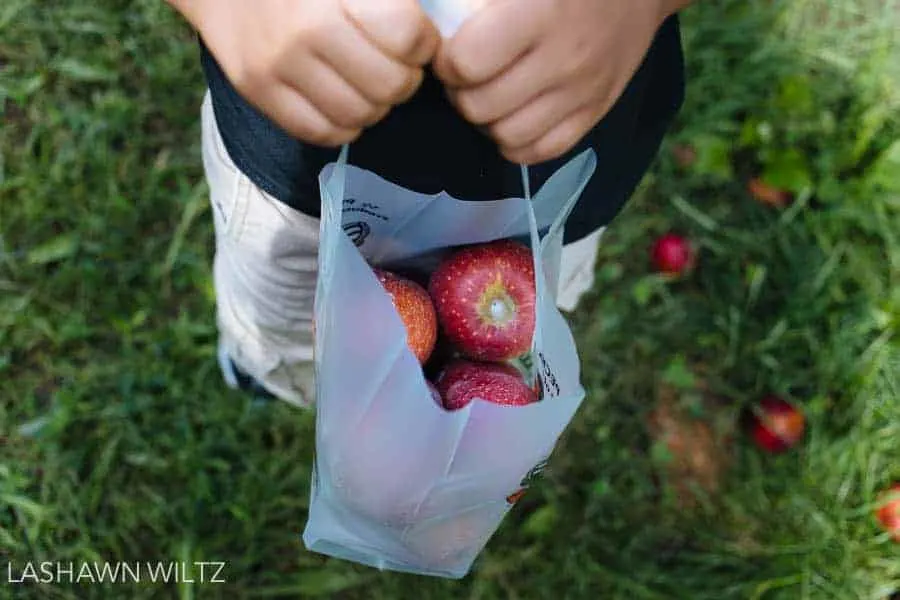 On my Fall photo bucket list is to go apple picking 