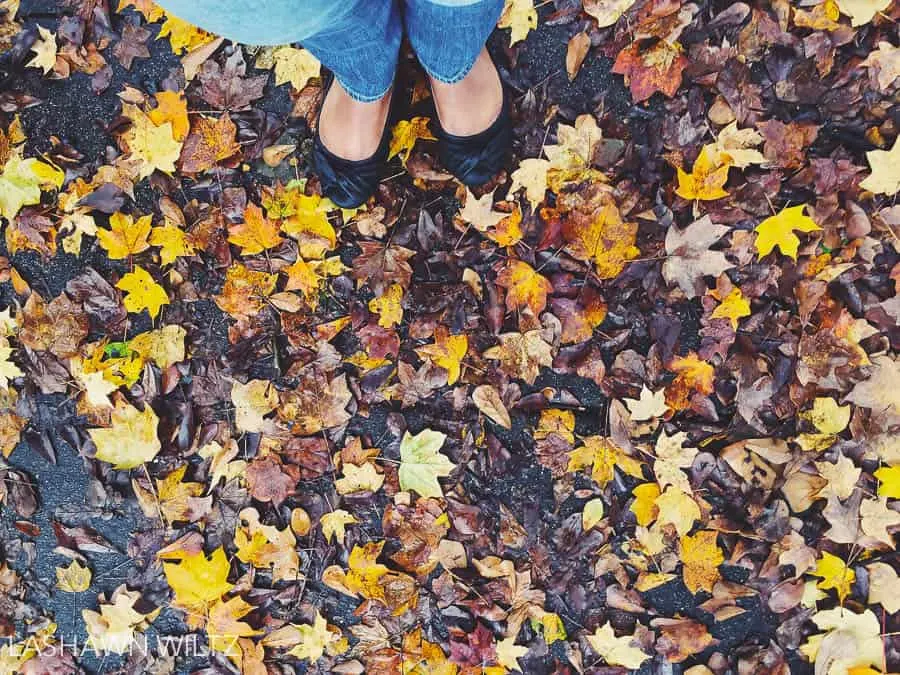 Fall photo bucket list: leaves on the ground.