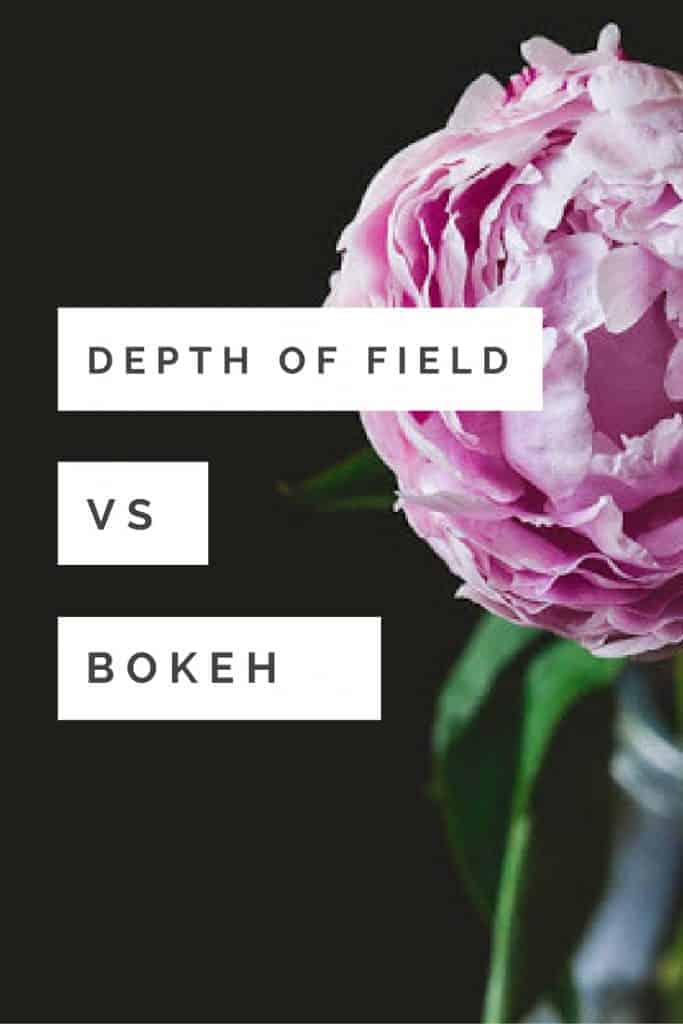 Looking for tips to get beautiful Bokeh in your photography? Check out this tutorial on three ways depth of field can help you achieve beautiful bokeh