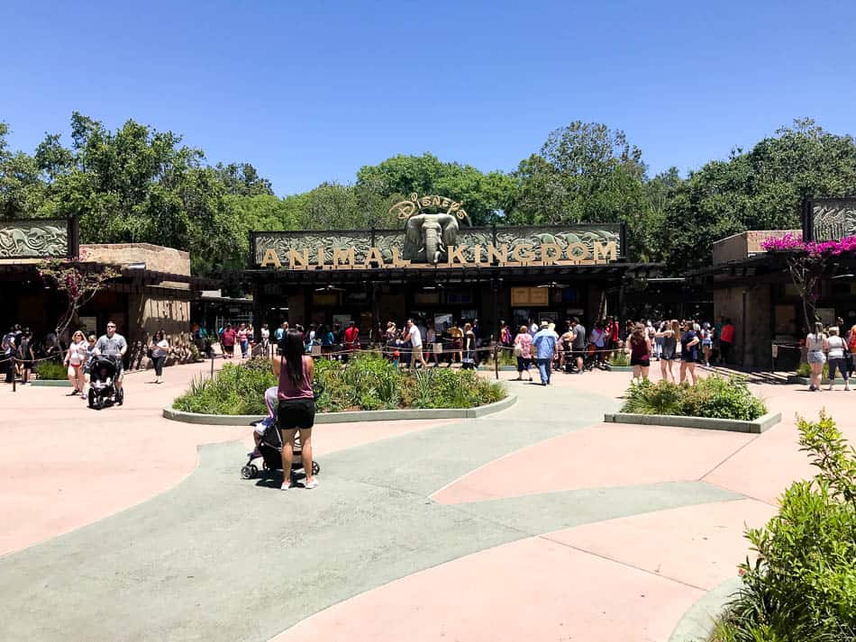 Animal Kingdom