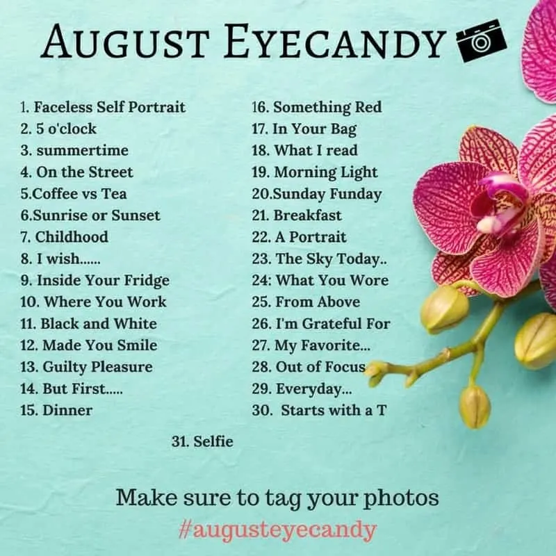 august eyecandy photo a day project