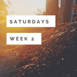 Saturdays a Photography Project 52 Saturdays a photo a day photography project every week