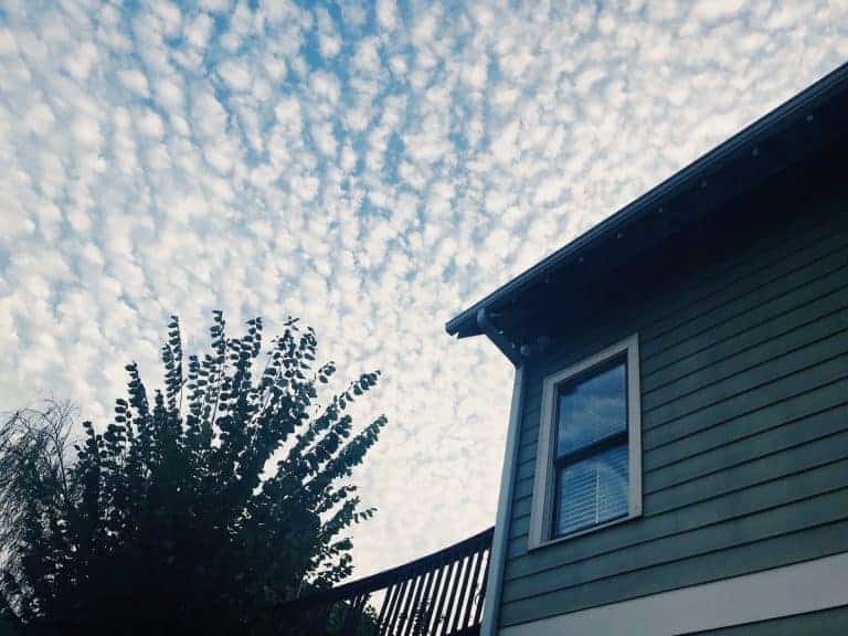 Saturdays ( a Photography Project) Week 7