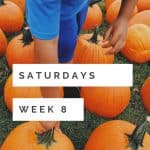 Saturdays Week 8 the Pumpkin Patch
