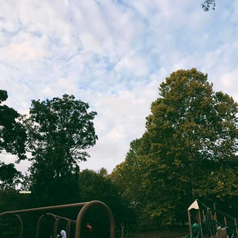 Saturdays Week 10:..and Sunday too