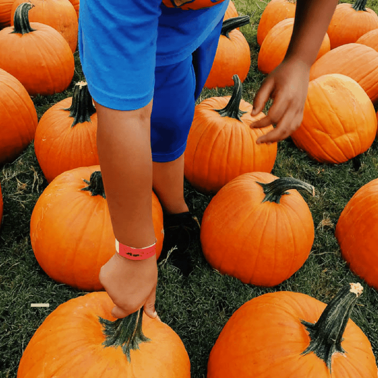 Saturdays Week 8: On Mom Guilt and Pumpkins
