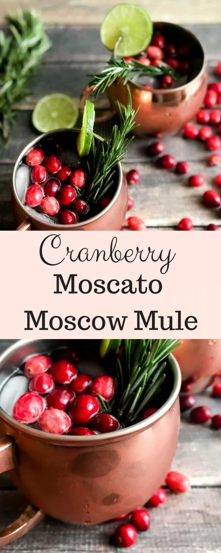 Holiday Moscow Mule...with a twist. - Everyday Eyecandy
