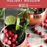 holiday moscow mule
