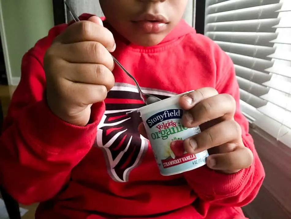 stonyfield organic yogurt after school snack