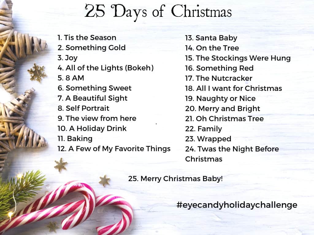 25 days of Christmas photo a day project