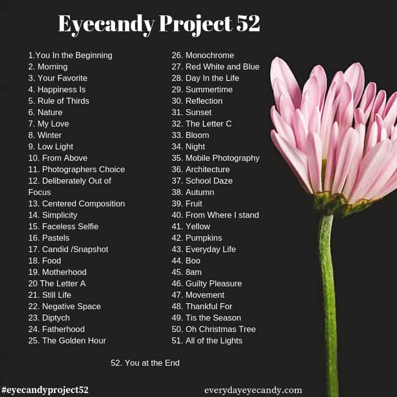 It's Back!!! The Eyecandy Project 52 - Everyday Eyecandy