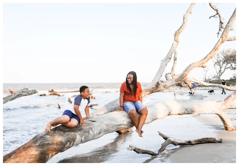 driftwood beachfamily roadtrip to Jekyll Island