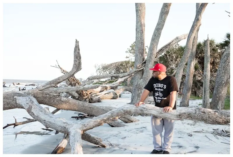 Driftwood beach on a family roadtrip to Jekyll Island