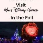 Fall is the best time to visit Disney! Check out these 10 Magical reasons to visit Walt Disney World this fall!