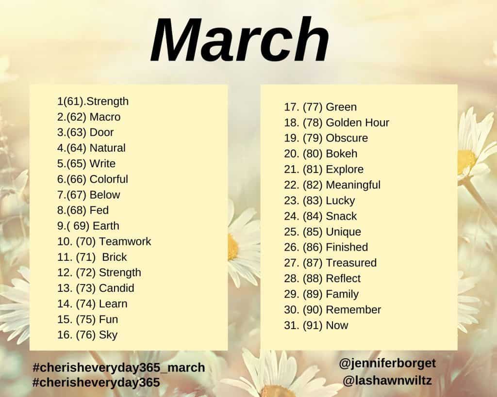 march photo a day prompts graphic