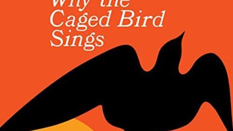 Image for I Know Why the Caged Bird Sings