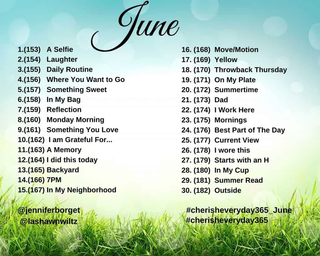june photo a day prompts