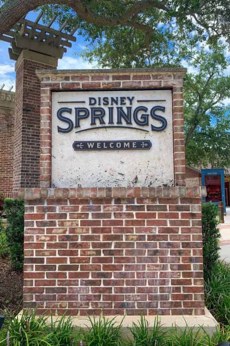 Gluten Free at Disney Springs: 10 Restaurants to Try