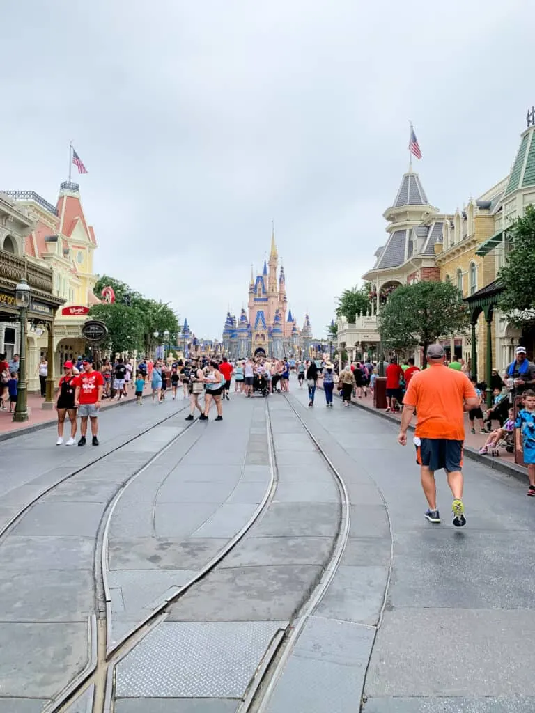 changes to disney world include a decrease in crowd capacity