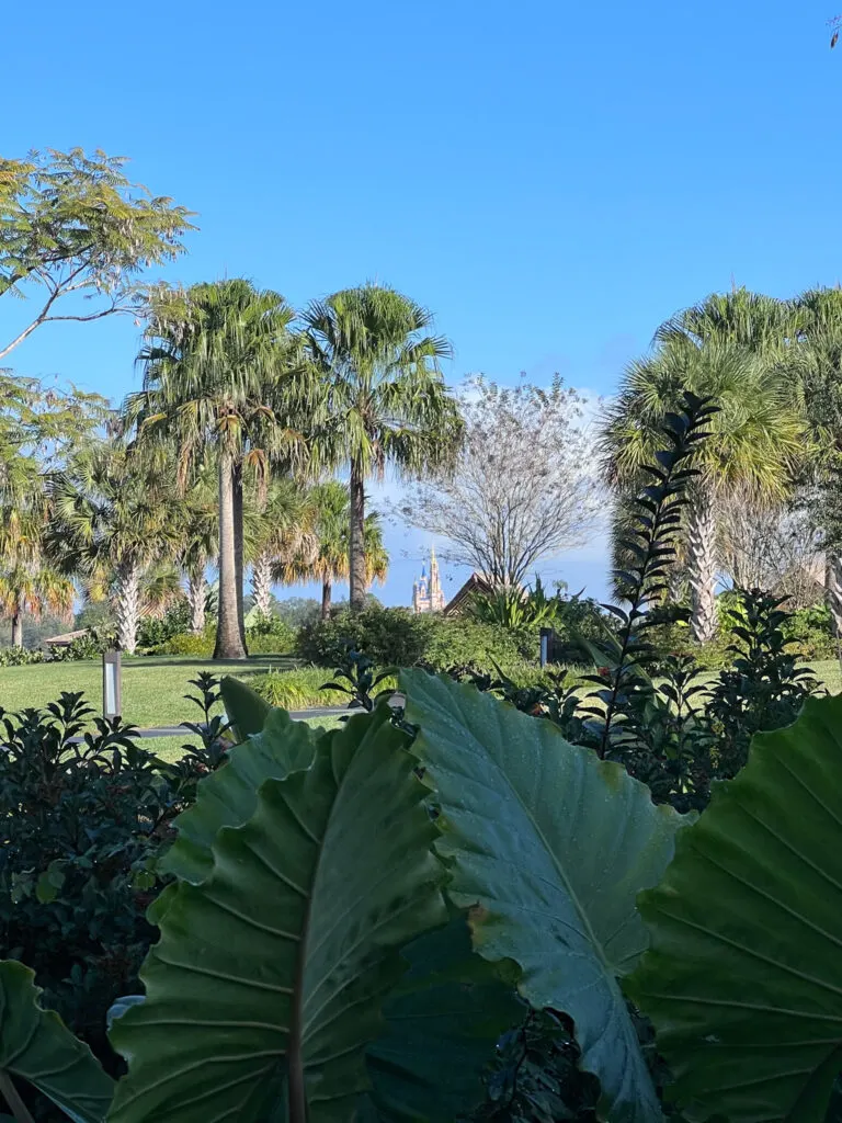 The view of Cinderella's castle from Disney's polynesian village resort.' 