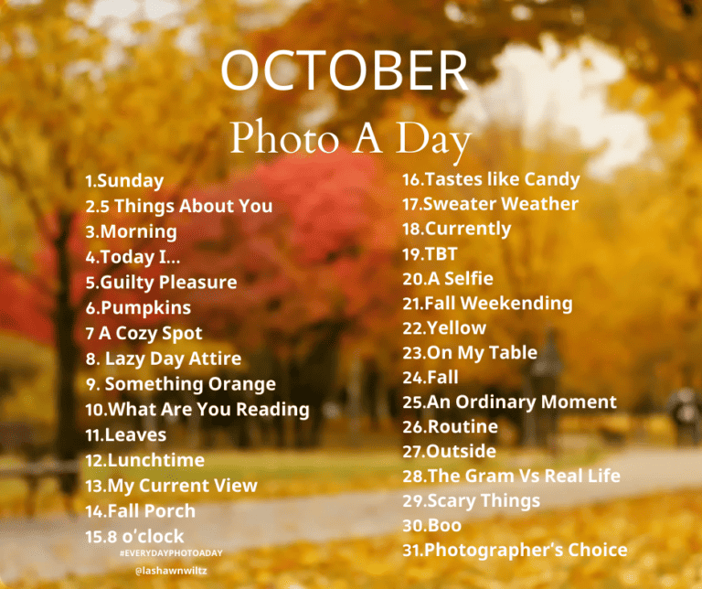 October Photo a Day (2024)